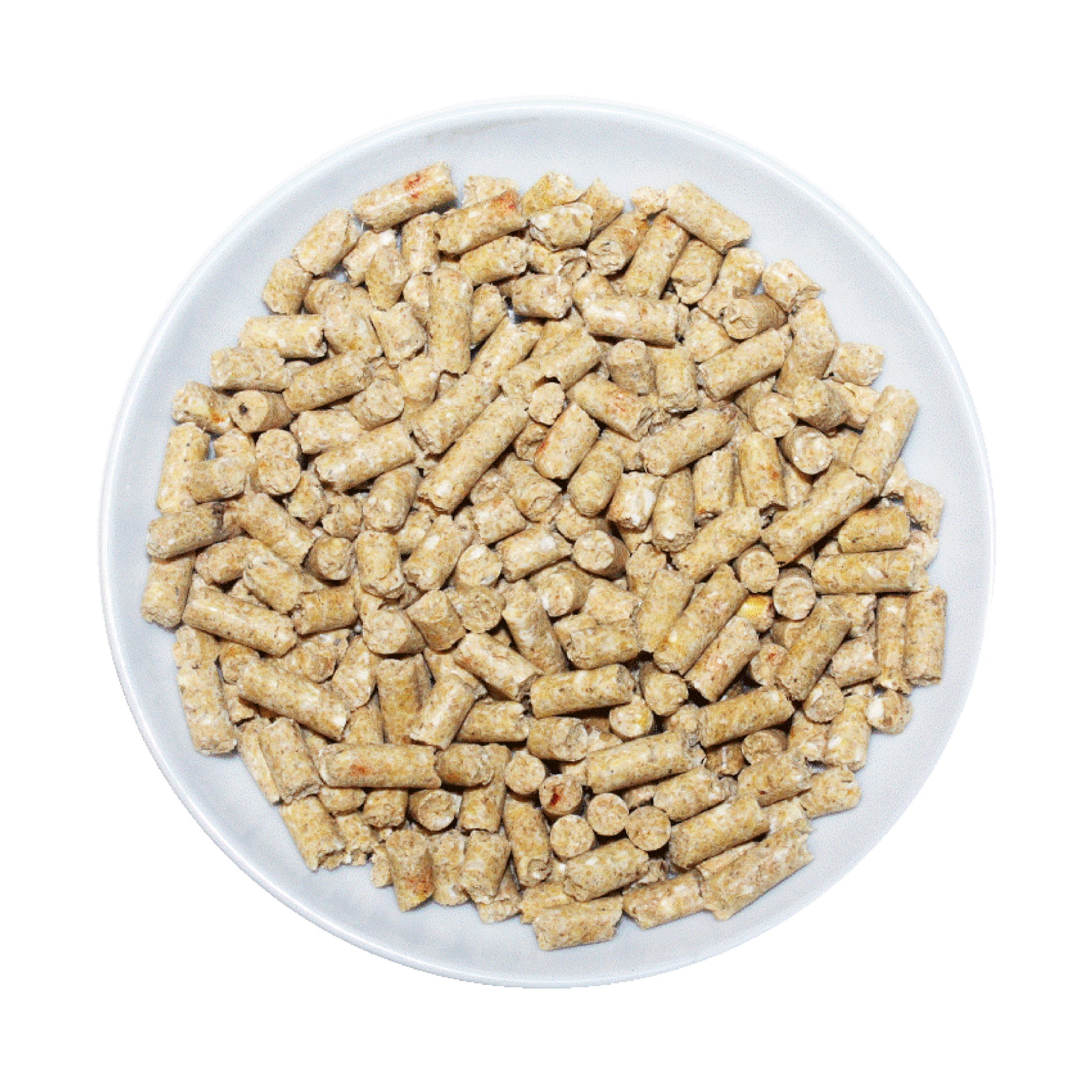 Passwell parrot pellet nz